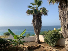 Tropikal House Facing Ocean